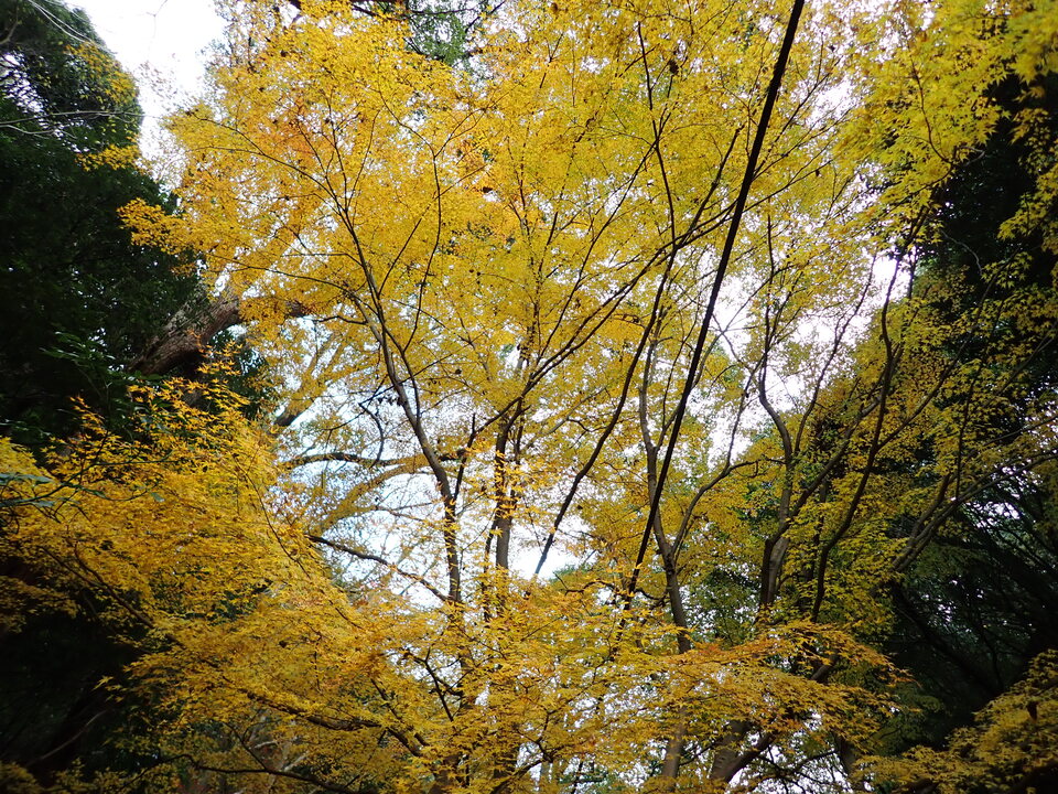 PC037019_mid.jpg