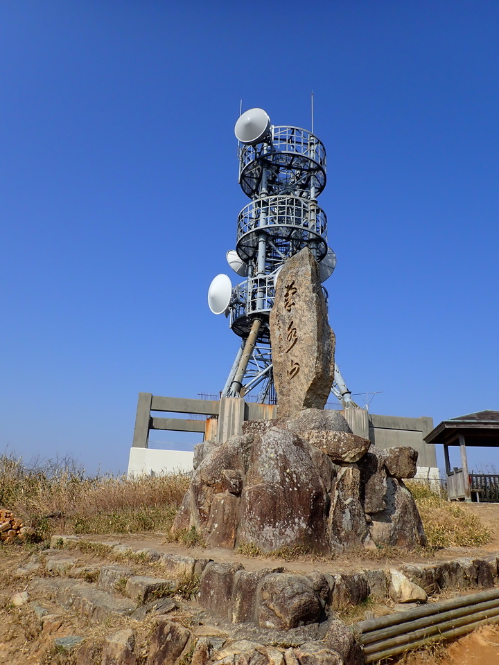 P3167658_mid.jpg