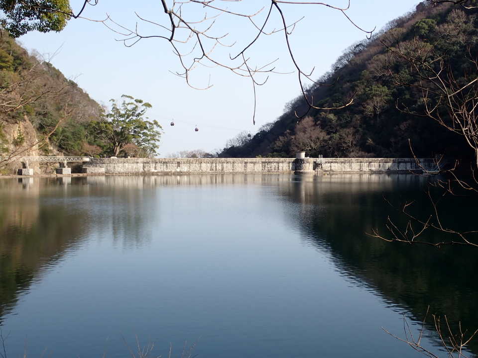 P3167684_mid.jpg