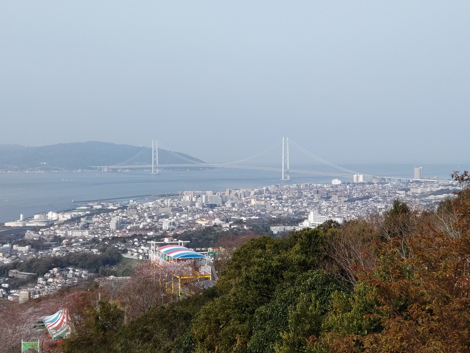 DSC_2385_mid.jpg