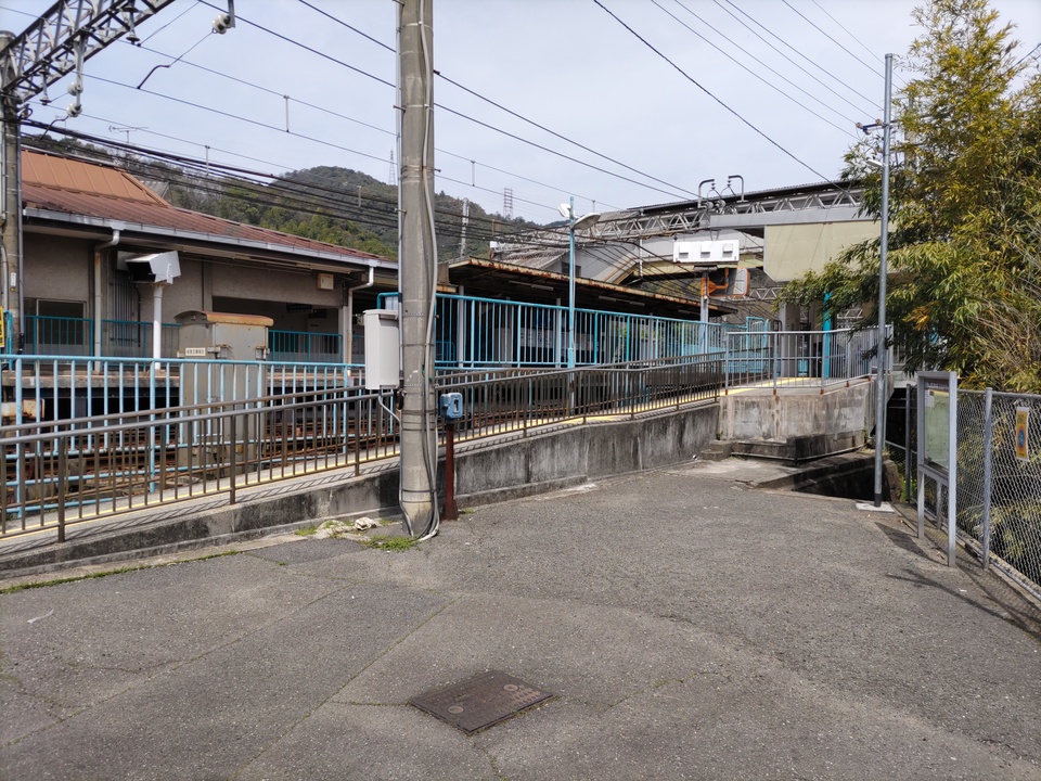 DSC_2433_mid.jpg