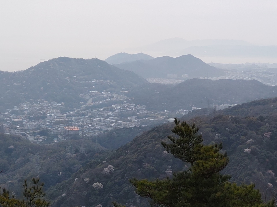 DSC_2448_mid.jpg