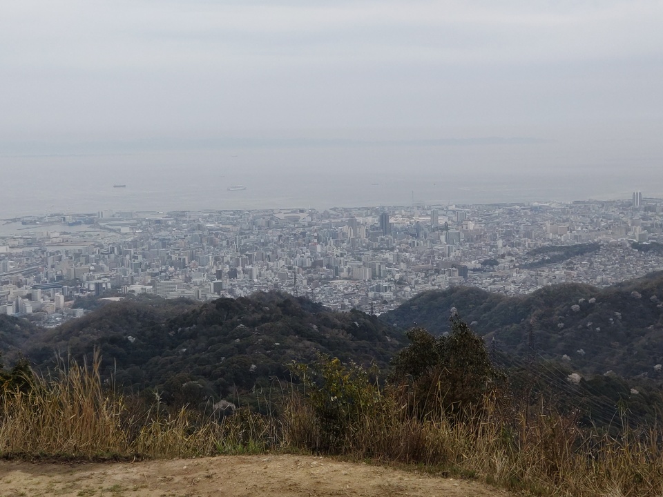 DSC_2464_mid.jpg