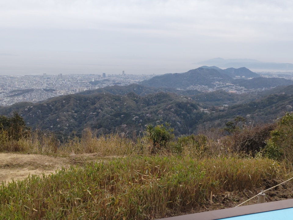 DSC_2468_mid.jpg