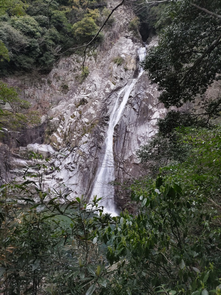 DSC_2480_mid.jpg