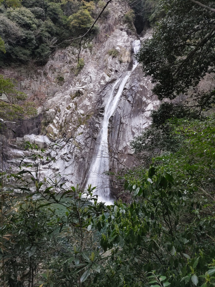 DSC_2483_mid.jpg