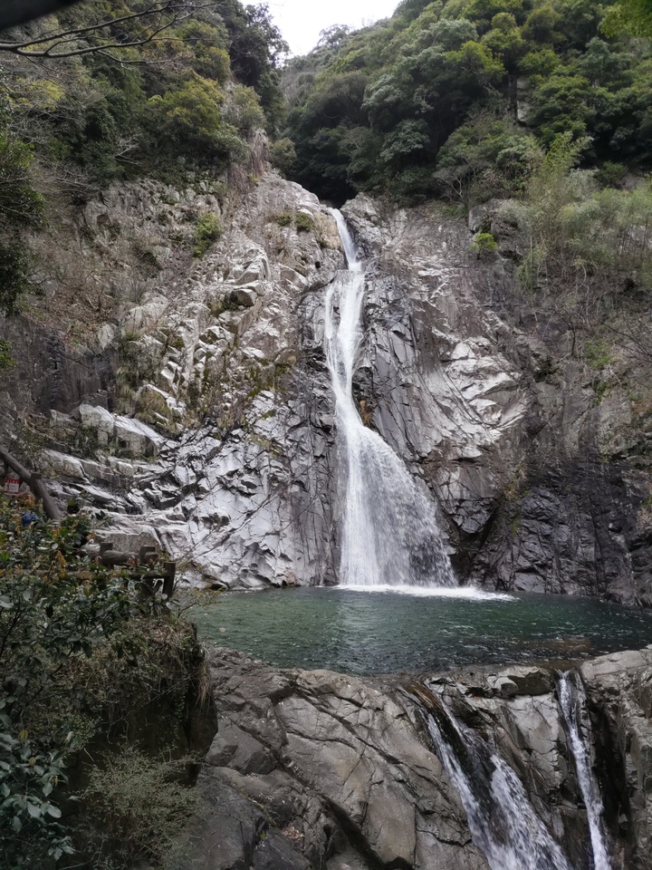 DSC_2486_mid.jpg
