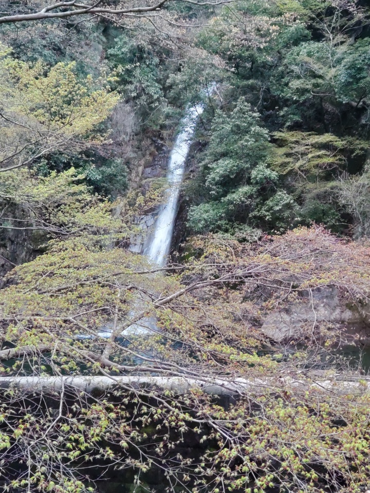 DSC_2494_mid.jpg