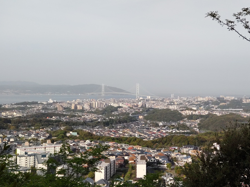 DSC_2545_mid.jpg
