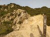 DSC_2572_thumb.png