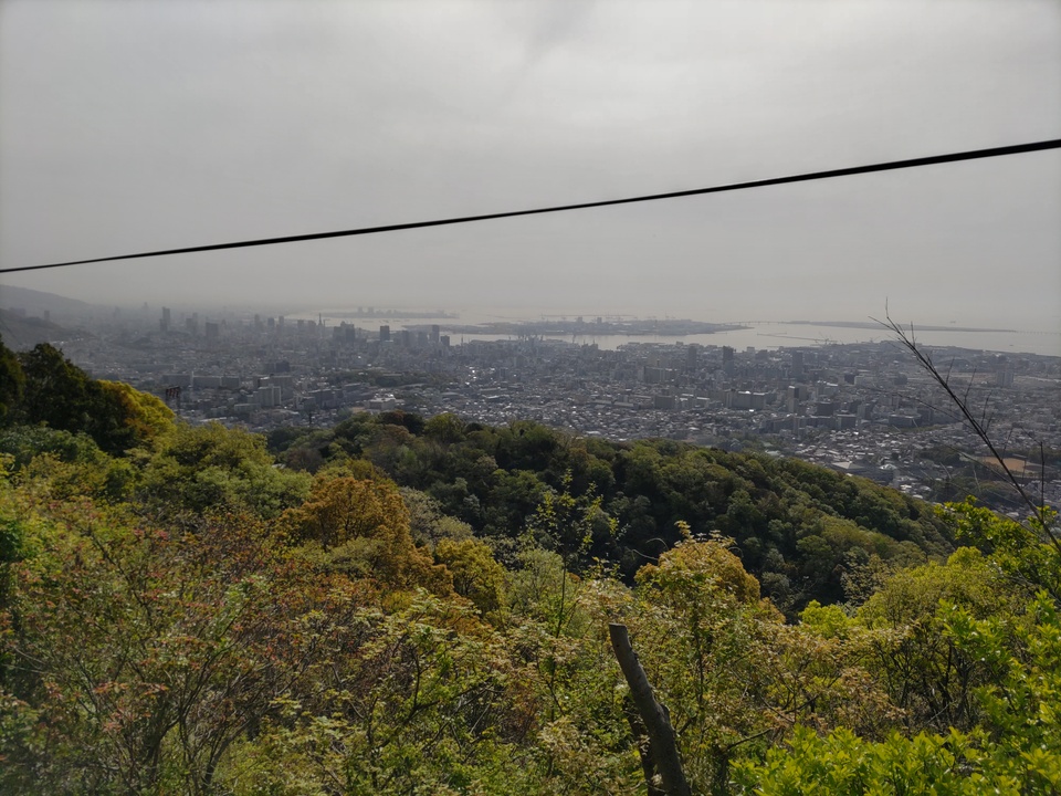 DSC_2583_mid.jpg