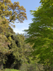 DSC_2600_thumb.png