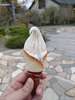 DSC_2623_thumb.png