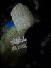 DSC_2639_thumb.png