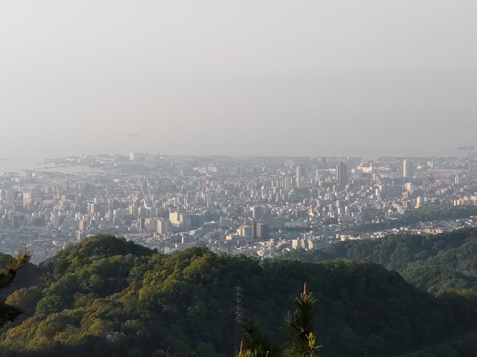 DSC_2648_mid.jpg