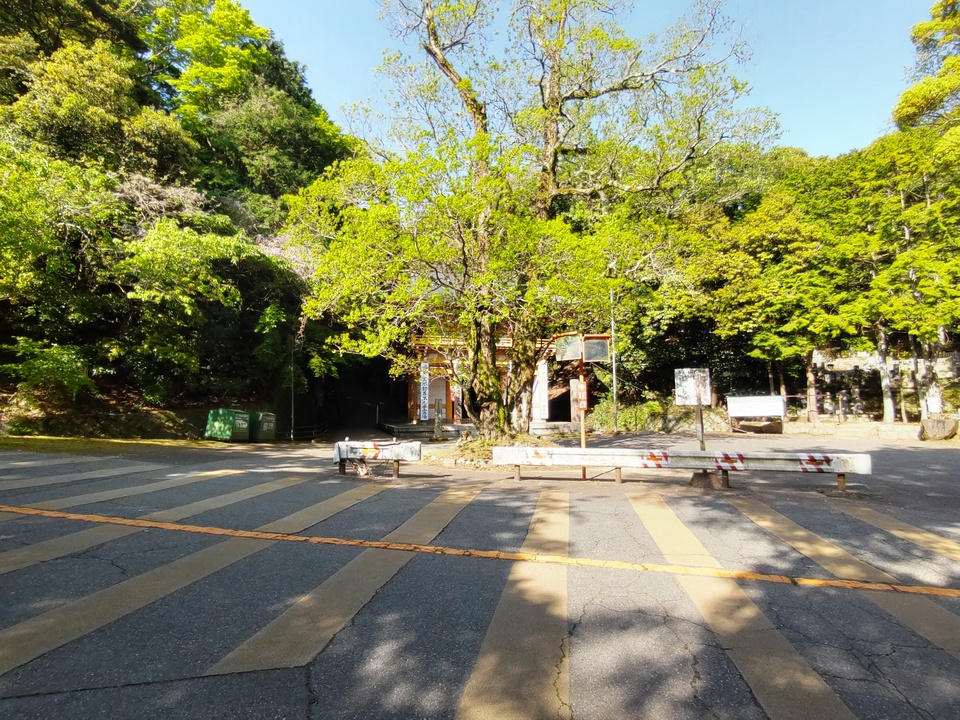 DSC_2669_mid.jpg