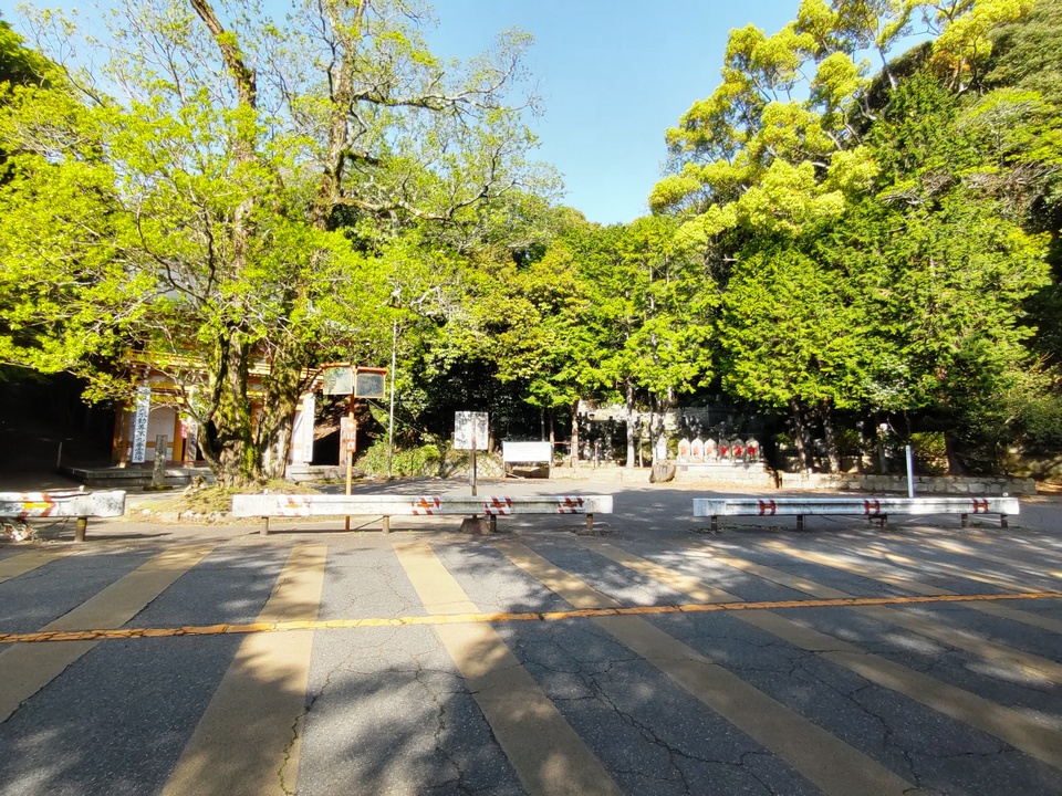 DSC_2670_mid.jpg
