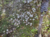 DSC_2675_thumb.png