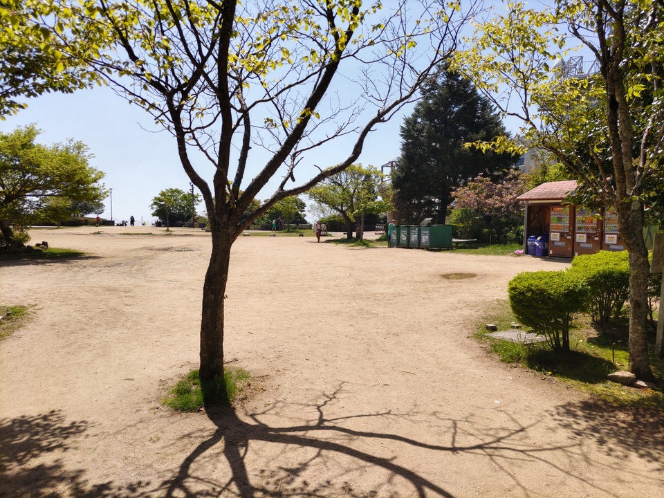 DSC_2679_mid.jpg