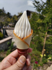 DSC_2698_thumb.png