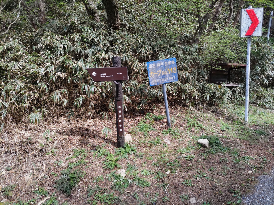 DSC_2700_mid.jpg