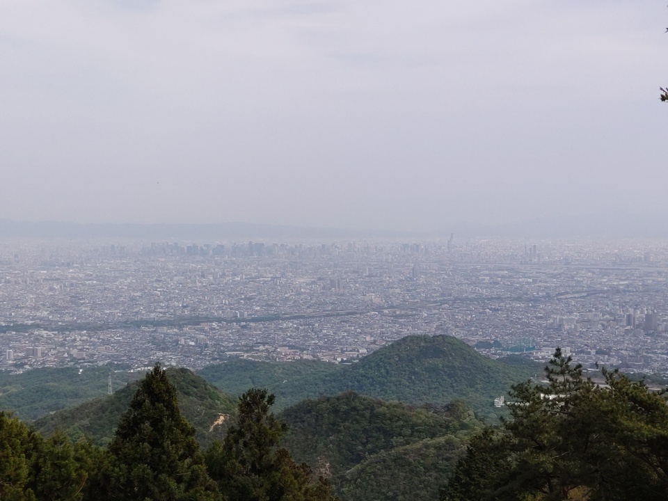 DSC_2707_mid.jpg