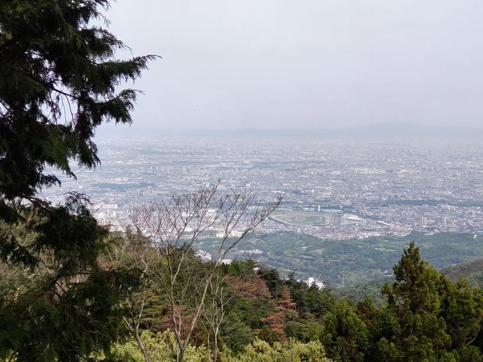 DSC_2708_mid.jpg