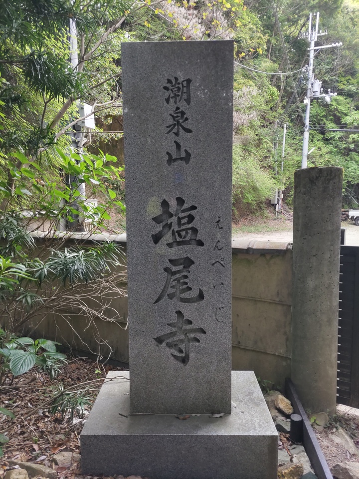 DSC_2711_mid.jpg