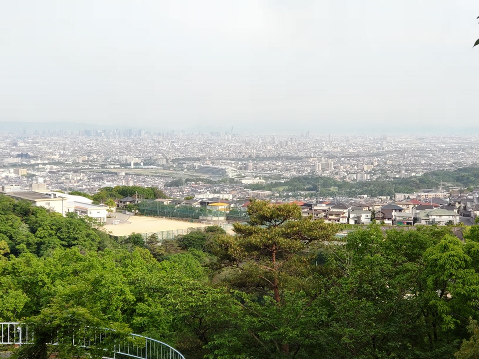 DSC_2718_mid.jpg