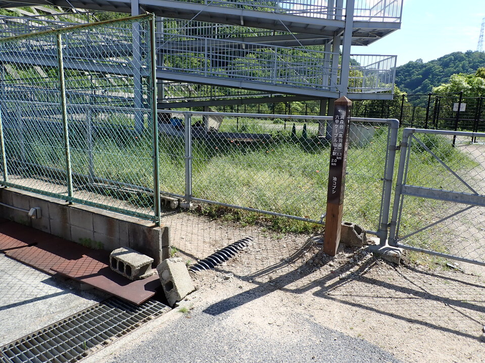 P5037715_mid.jpg