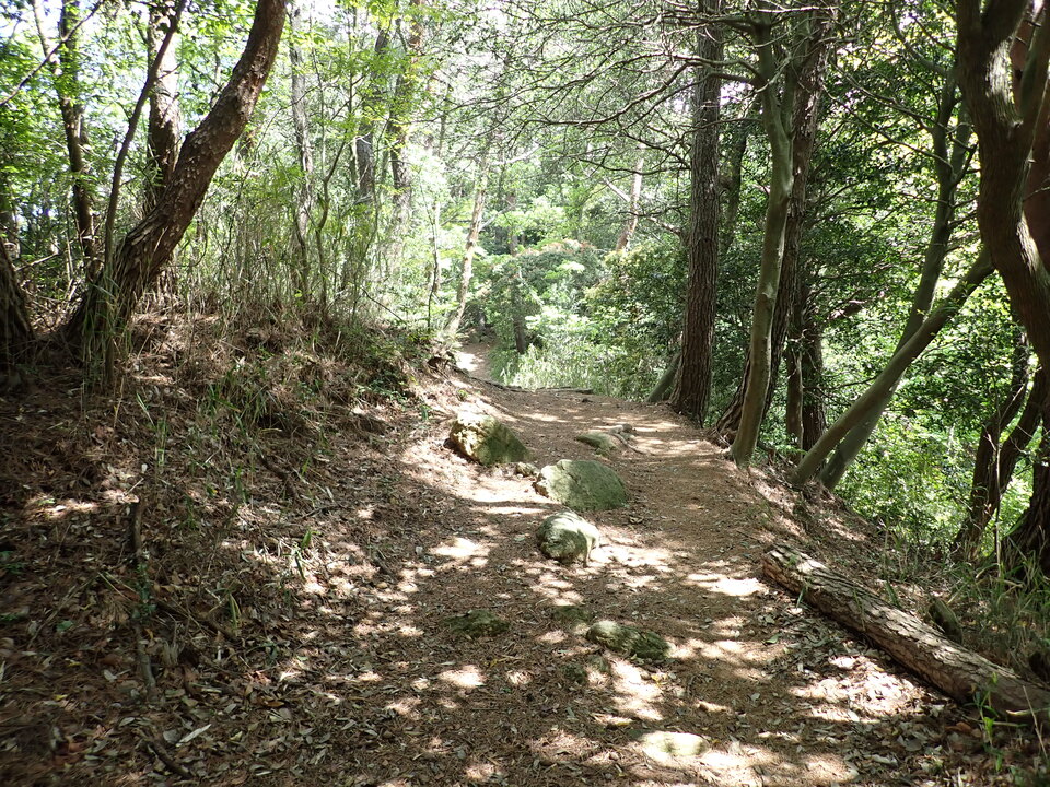 P5037717_mid.jpg
