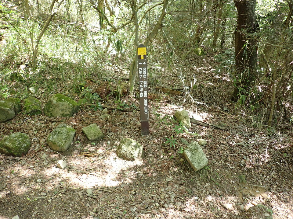 P5037720_mid.jpg