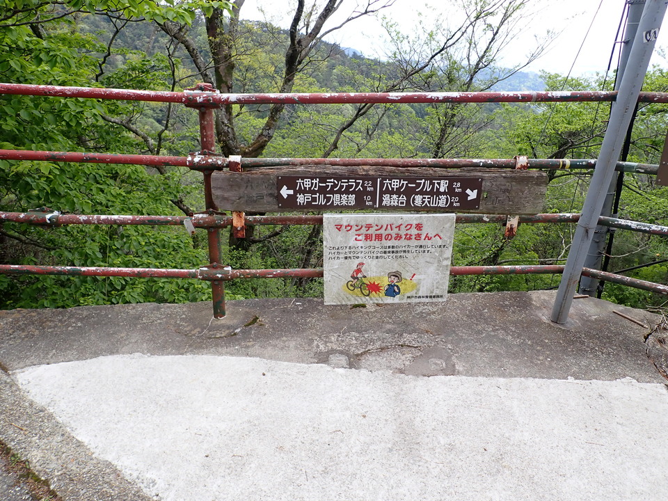 P5037724_mid.jpg