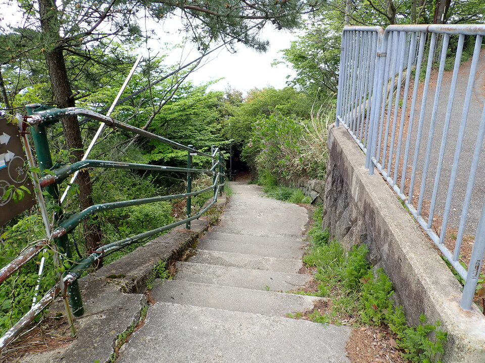 P5037726_mid.jpg