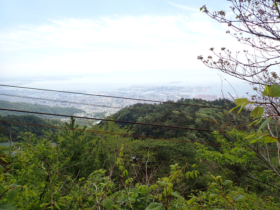 P5037728_mid.jpg