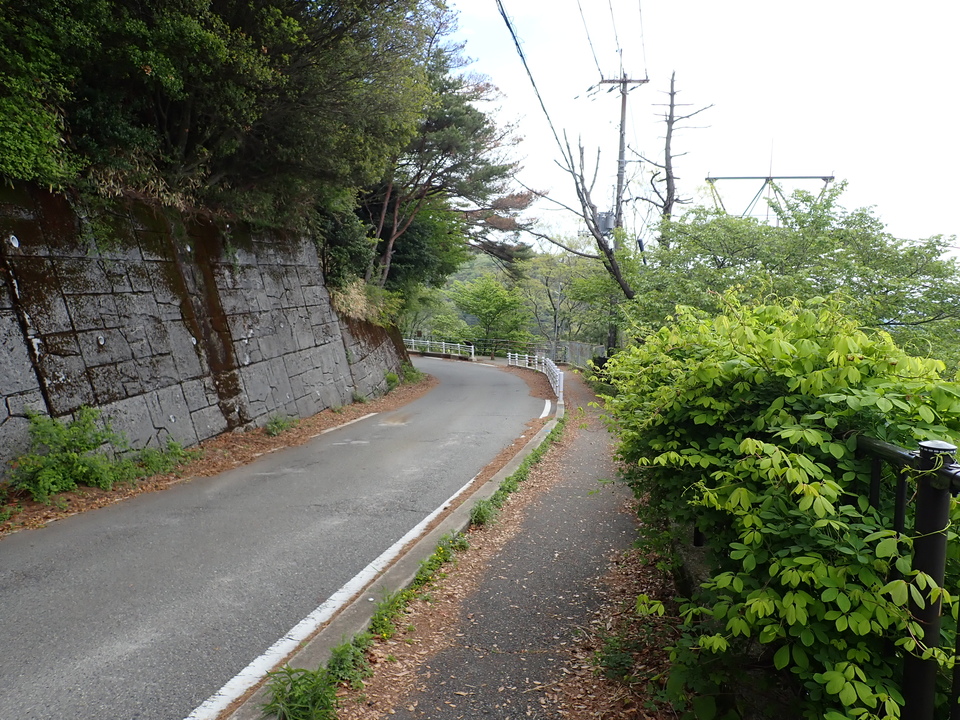 P5037731_mid.jpg