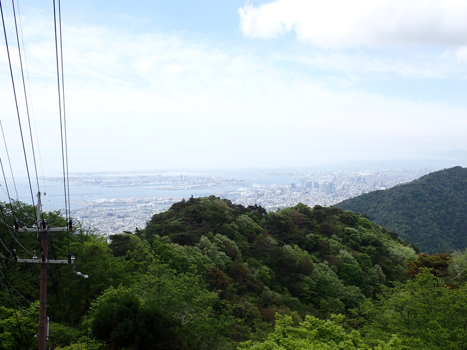 P5037733_mid.jpg