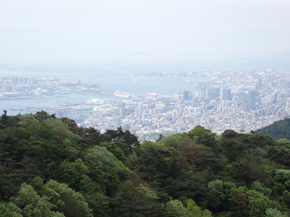 P5037734_mid.jpg