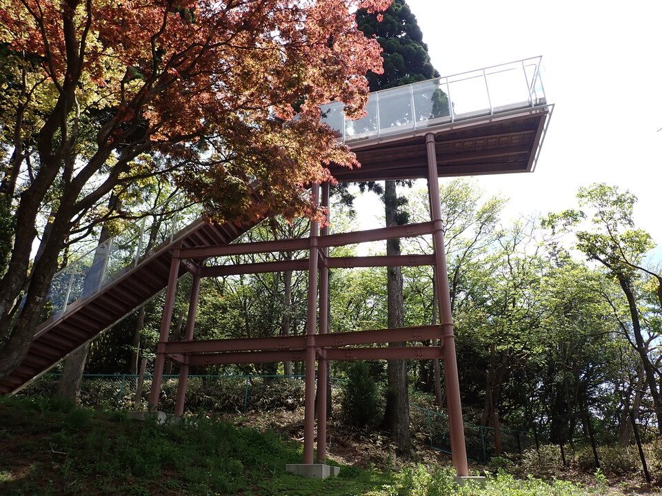 P5037736_mid.jpg