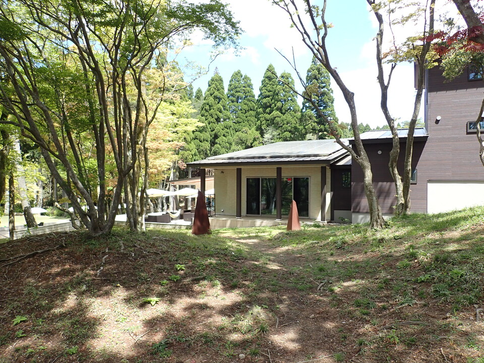 P5037738_mid.jpg