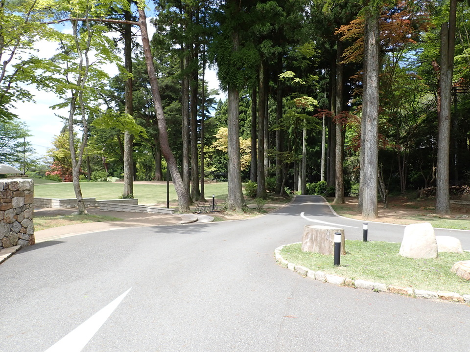 P5037768_mid.jpg