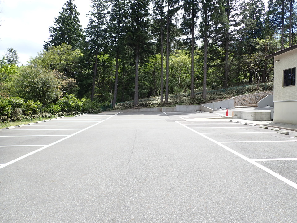 P5037770_mid.jpg