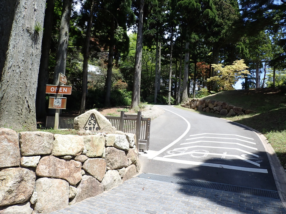 P5037773_mid.jpg
