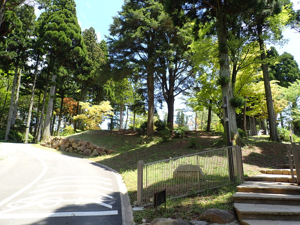 P5037774_mid.jpg