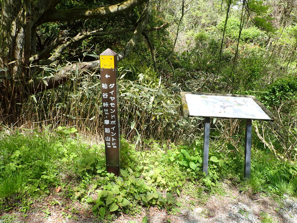 P5037777_mid.jpg