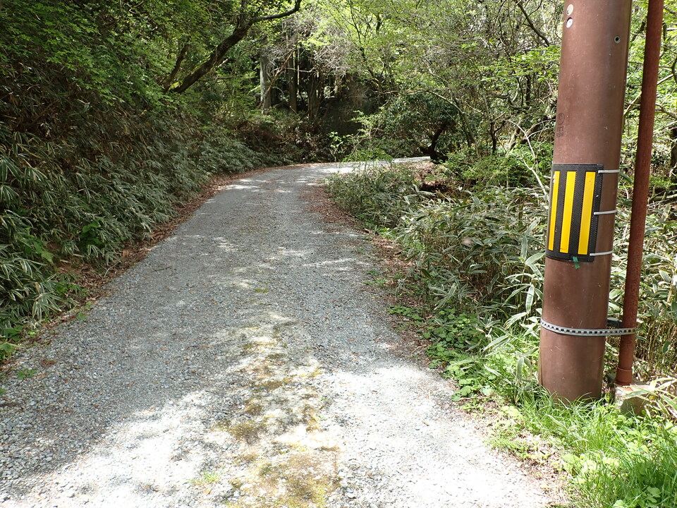 P5037778_mid.jpg
