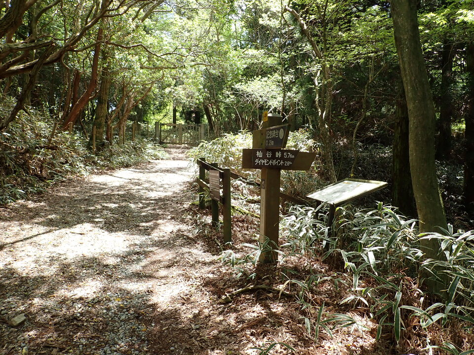 P5037780_mid.jpg