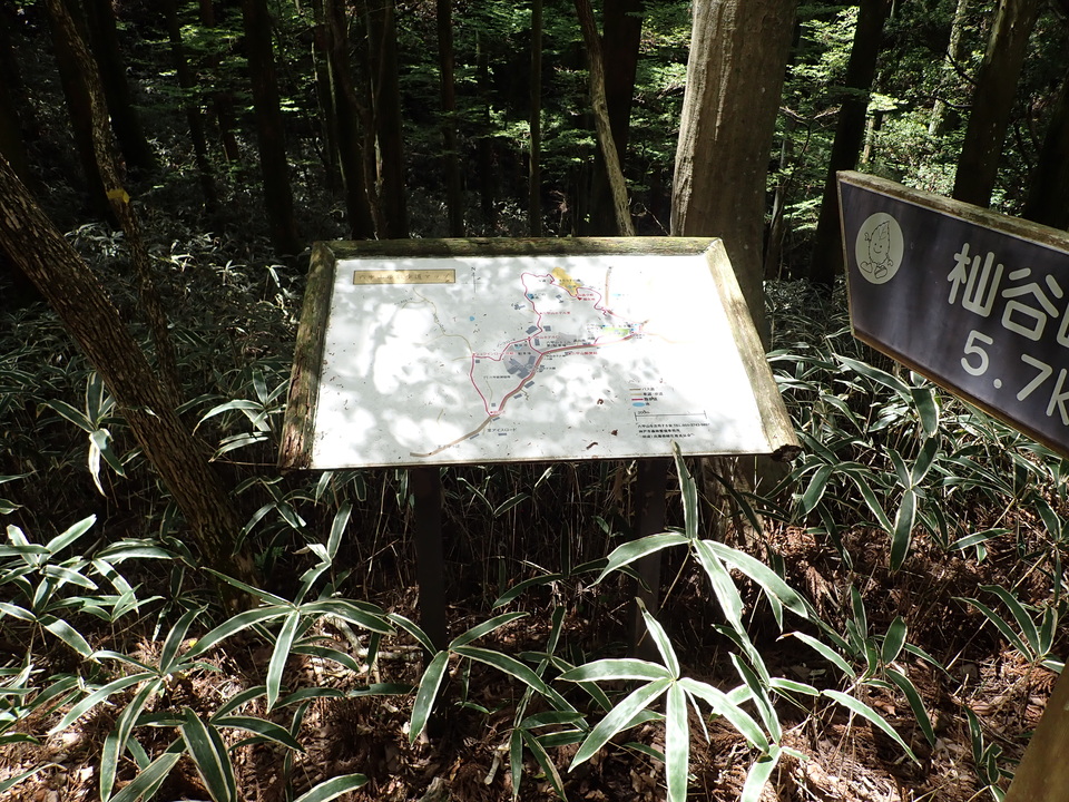 P5037781_mid.jpg