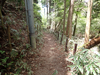 P5037783_thumb.png