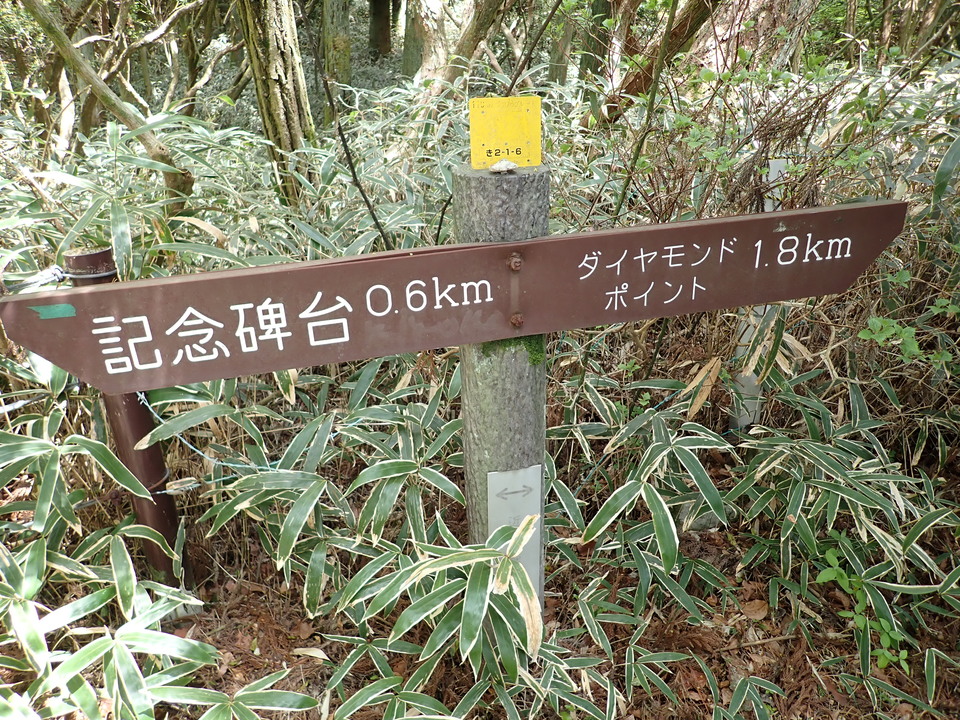 P5037784_mid.jpg